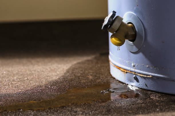 Carpet water damage restoration in Wrightsville Beach, NC