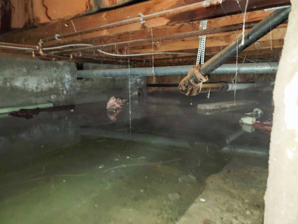Water damage restoration insurance claims in Wrightsville Beach, NC