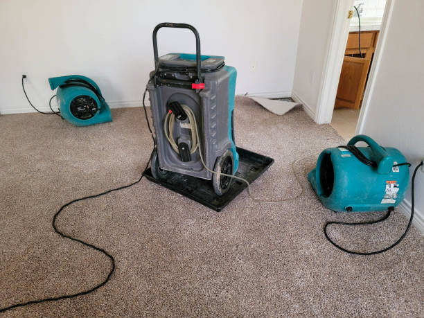 Best Local water damage restoration  in Wrightsville Beach, NC