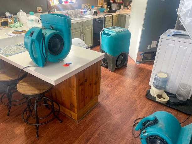 Best Emergency water damage restoration  in Wrightsville Beach, NC
