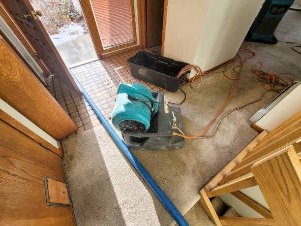  Wrightsville Beach, NC Water damage restoration Pros