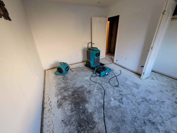 Best Flood restoration services  in Wrightsville Beach, NC
