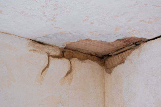 Best Ceiling water damage repair  in Wrightsville Beach, NC