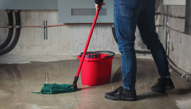 Best Basement water damage restoration  in Wrightsville Beach, NC