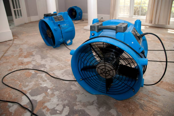 Best Mold removal after water damage  in Wrightsville Beach, NC
