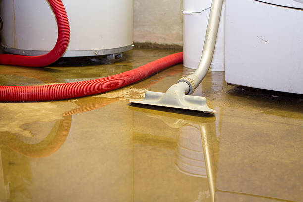 Best Flooded house restoration  in Wrightsville Beach, NC