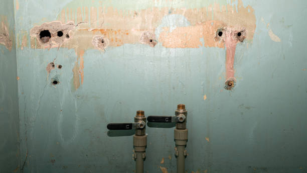 Best Carpet water damage restoration  in Wrightsville Beach, NC